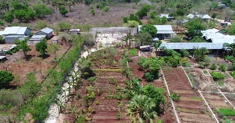 Aerial Drone left to right panning view of farm in Kupang Timor Stock Footage 81687656