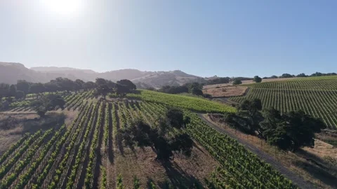 Aerial Drone Low Orbit Reveals Napa Valley, California, 4K Vídeo Stock 336033845