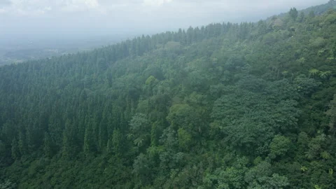Aerial Drone of Mountain Range with Fluffy Clouds Stock Footage 309329477