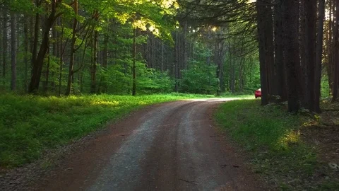 Aerial drone moving backwards through the forest back roads. Stock Footage 91512658