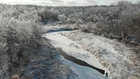 Aerial from drone moving forward just above the treetops showing a winter forest Stock Footage 145488041