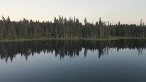 Aerial drone moving forward over a calm lake towards an evergreen forest then Stock Footage 313543966
