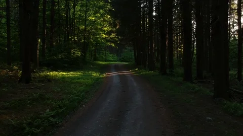 Aerial drone moving forward through the forest back roads. Stock Footage 91512621