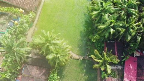 Aerial Drone Moving over the large open green field- Maharashtra-India-4k Stock Footage 220519118