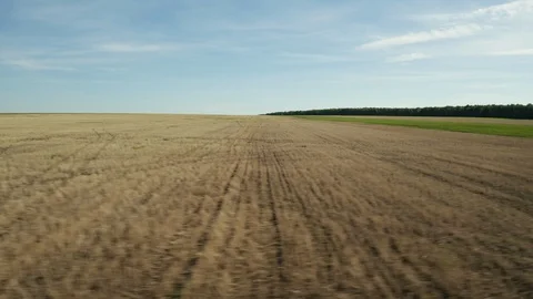 Aerial; drone moving sideways over the agricultural field Stock Footage 109588449