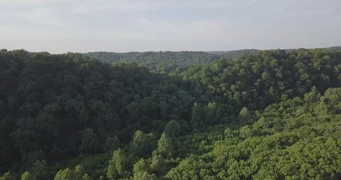 Aerial Drone Narrows of the Harpeth Stock Footage