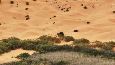 Aerial drone orbit around of a black Range Rover Classic parked by a lush oasis 動画素材 335445129