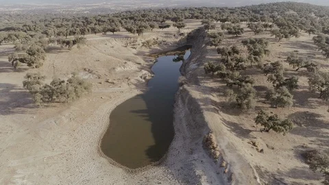 AERIAL DRONE ORBIT BIG PUDDLE OF WATER AND MUD SURROUNDED BY ARID FIELDS OF OAKS Stock Footage 130132059