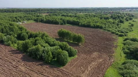 Aerial drone orbit over agricultural field Kolomna Vidéo 327553953