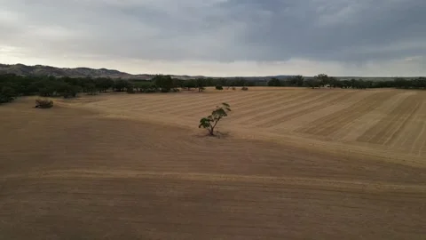 Aerial Drone Orbiting Over Dry Drought Yellow Farmland in Rural Area Vídeo Stock 328085981