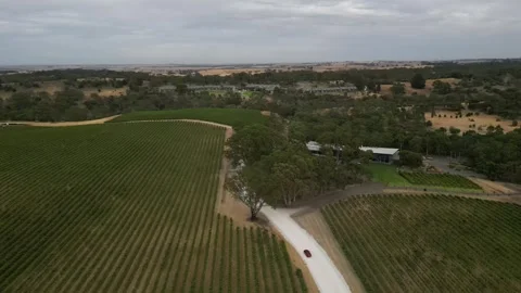 Aerial Drone Orbiting Rural Road Through Vineyard Landscape Vídeo Stock 328086366