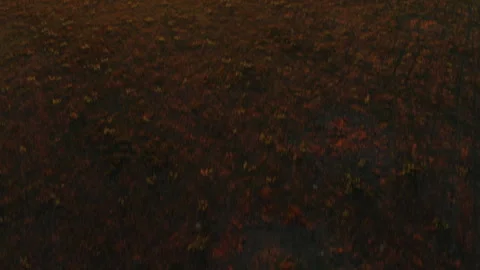 Aerial Drone Out In The Country Stock Footage 319915047