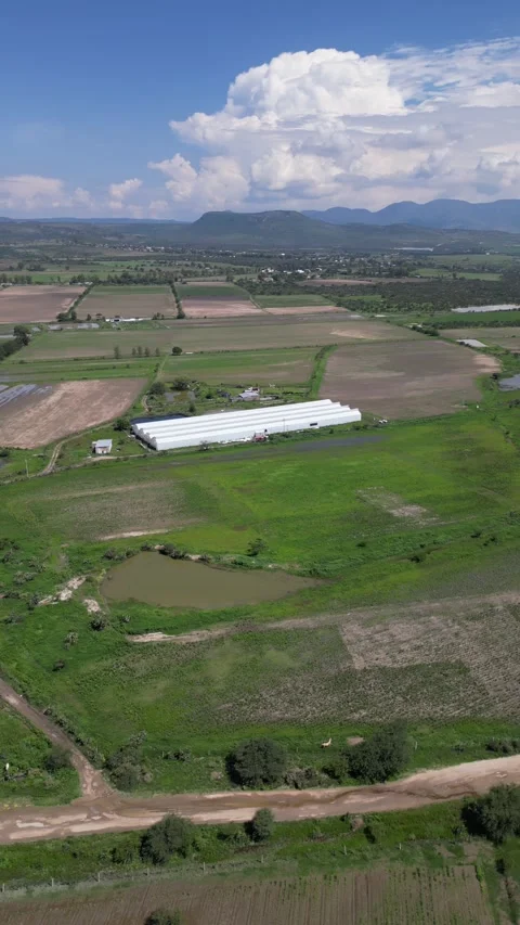 Aerial drone over agricultural patchwork and greenhouses, central Mexico Stock-Footage 341548421