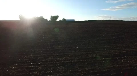 Aerial Drone Over Corn Field 動画素材 52185983