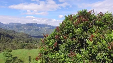 Aerial Drone over country field Tilt up 動画素材 75165053