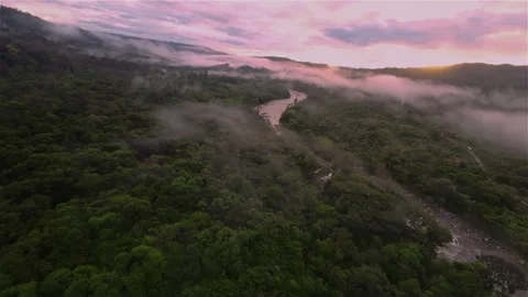 Aerial drone over a DARK AMAZON JUNGLE. MISTS hang over the RIVER at SUNRISE Stock Footage 250354823