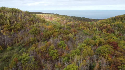 Aerial drone over fall trees in Ontario Canada 動画素材 320364998