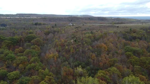 Aerial drone over fall trees in Ontario Canada 動画素材 320364999
