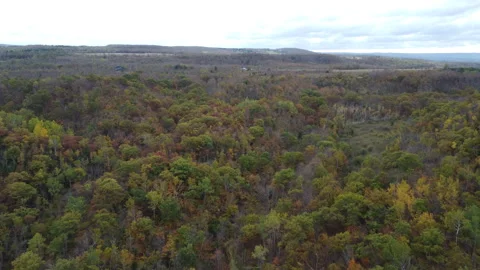 Aerial drone over fall trees changing in Ontario 動画素材 320365015