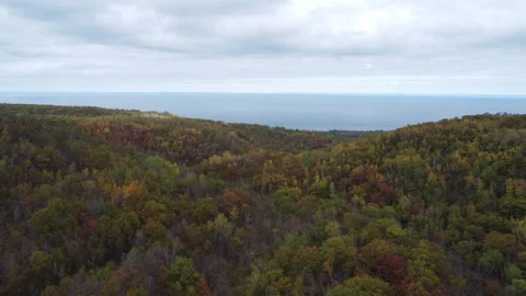 Aerial drone over fall trees in Ontario Canada 動画素材 320365028