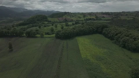 Aerial Drone Over Mixed-Use Tropical Farm With Orchard, Pasture and Dense F.. Stock Footage 337885284