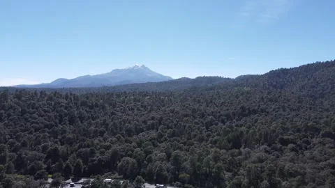 Aerial Drone Over Pine Forest Toward Iztaccihuatl Snow Volcano Stock Footage 321322151