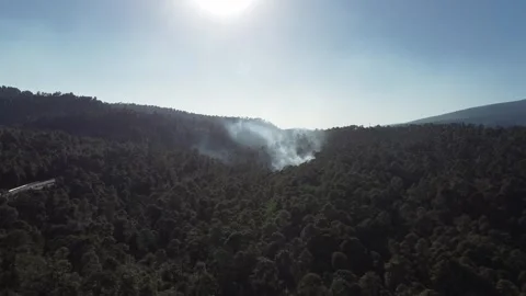 Aerial Drone Over Pine Forest with Winding Road and Bright Sun Stock Footage 321322156