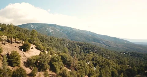 Aerial drone over pine mountain club forest in kern county california. Stock Footage 150777874