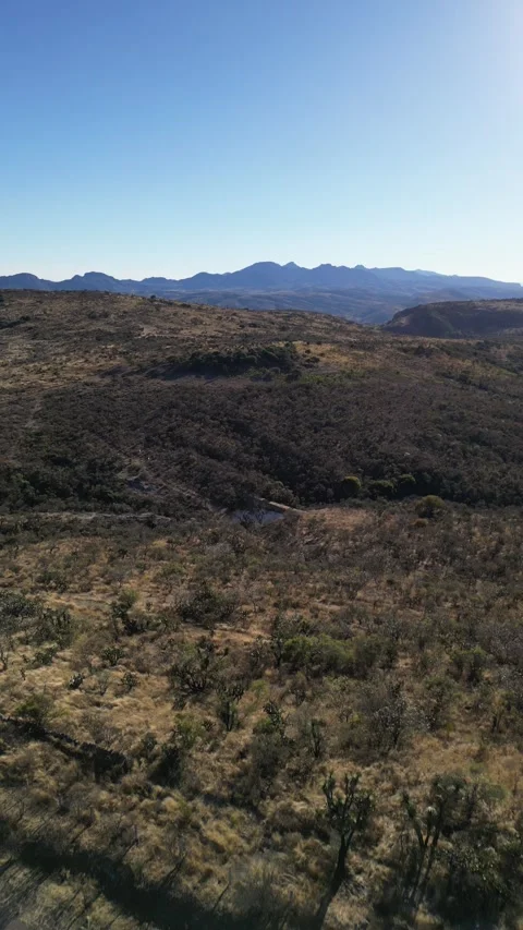 Aerial drone over semi desert scrubland and mountains, Aguascalientes, Mexico Stock Footage 341548045