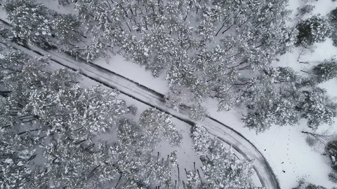 Aerial drone overhead flying over road  surrounded with forest In winter. Stock Footage 120201628