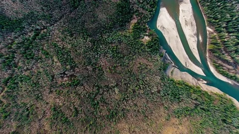 Aerial drone overhead view of a dense forest and three paths of a small river Stock Footage 139117706