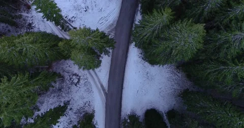 Aerial drone overhead view of forest countryside road between spruce trees Stock Footage 144787289