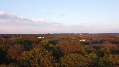 Aerial drone pan from forest to typical British countryside during sunset 4k Stock Footage 153368120