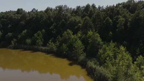 Aerial Drone Pan Left Over Brown Lake Water and Green Forest Video stock 324966351