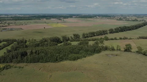 Aerial Drone Pan Left Over Rural Fields and Meadows in Zgierzynka Stock Footage 324966644