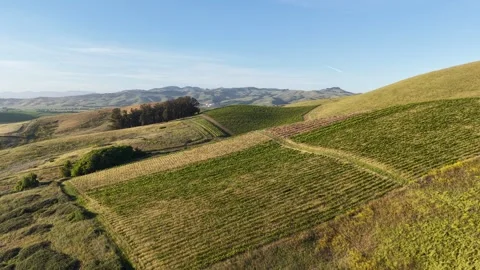 Aerial Drone Pan Over Green Hills and Farmland with Farmhouse, Napa Valley, 4K 库存影片 334643203