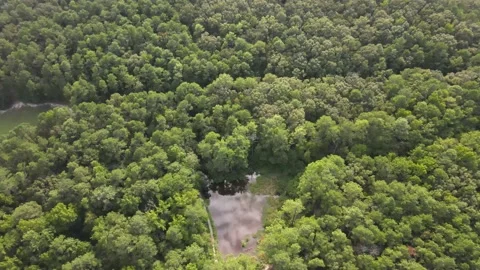 Aerial Drone Panning Down to Small Pond Surrounded by Lush Green Woods Stock Footage 139930912