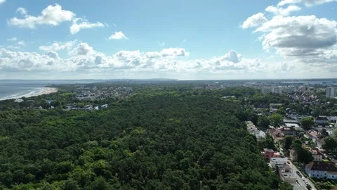 Aerial Drone Panorama of Dense Forest Bordering Coastal Urban Area-s2 Stock Footage 327856709