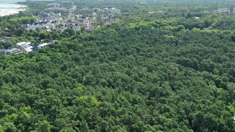 Aerial Drone Panorama of Dense Forest Bordering Coastal Urban Area-s9 Stock Footage 327856792
