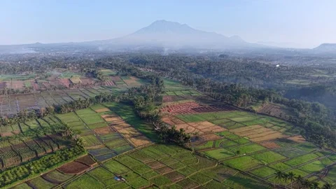 Aerial Drone Panorama Over Patchwork Rice Fields And Volcano Stock Footage 346258316