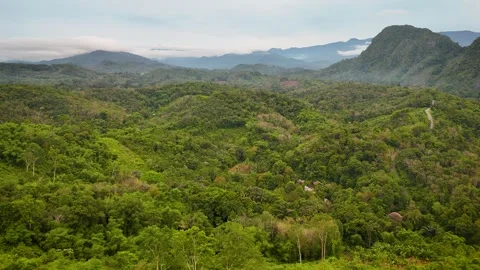 Aerial Drone Panoramic View of Tropical Rainforest Valley Stock-Footage 336486327