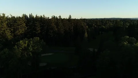 Aerial drone passing over pine trees against blue sky Vídeo Stock 104520452