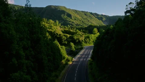 Aerial drone perspective shot of a winding asphalt road emerging from a dense Vidéo 335706319