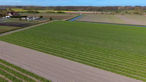 Aerial drone perspective of structured green crop fields ploughed earth farm Stock Footage 332673778
