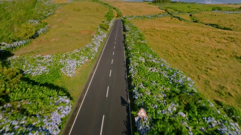 Aerial drone perspective tracking shot following a straight empty asphalt road Vídeos de archivo 335246857