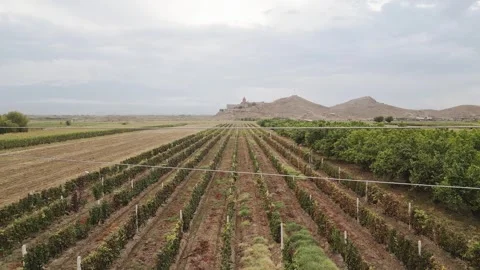 Aerial drone pilot point of view flying over countryside field filming back.. Stock-Footage 290064176