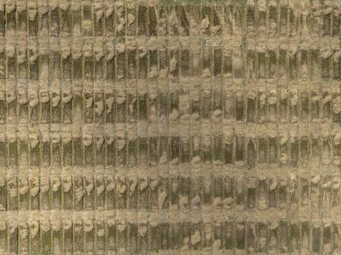 Aerial drone POV brown rectangular patches forming pattern in agricultural field 스톡 사진