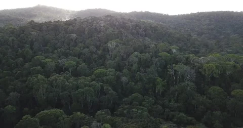 Aerial drone pull-back over the Atlantic Forest in Piraí do Norte, Bahia, Brazil Stock Footage 317589777