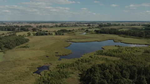 Aerial Drone Pull Back Over Scenic Wetlands and Fields in Zgierzynka Stock Footage 324966678