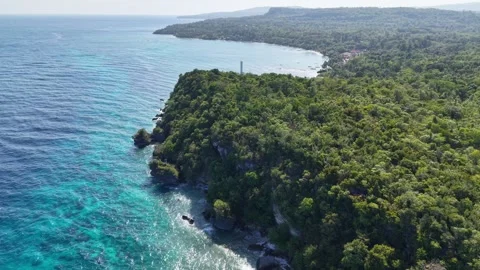 Aerial Drone, Pull Back Over Sea from Jungle Coast, Siquijor Philippines, 4K Vídeo Stock 336523028